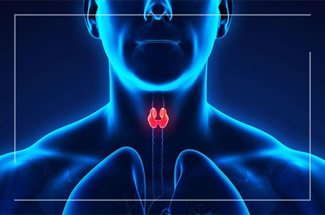 Ayurveda Treatment for Thyroid in Ahmedabad